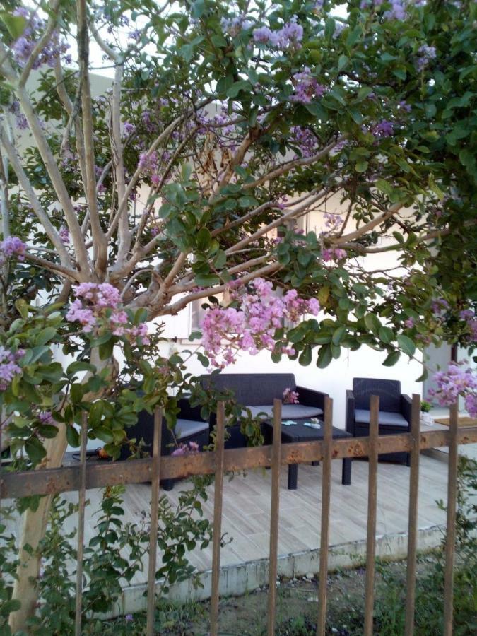 מסטרה The Judas Trees מראה חיצוני תמונה