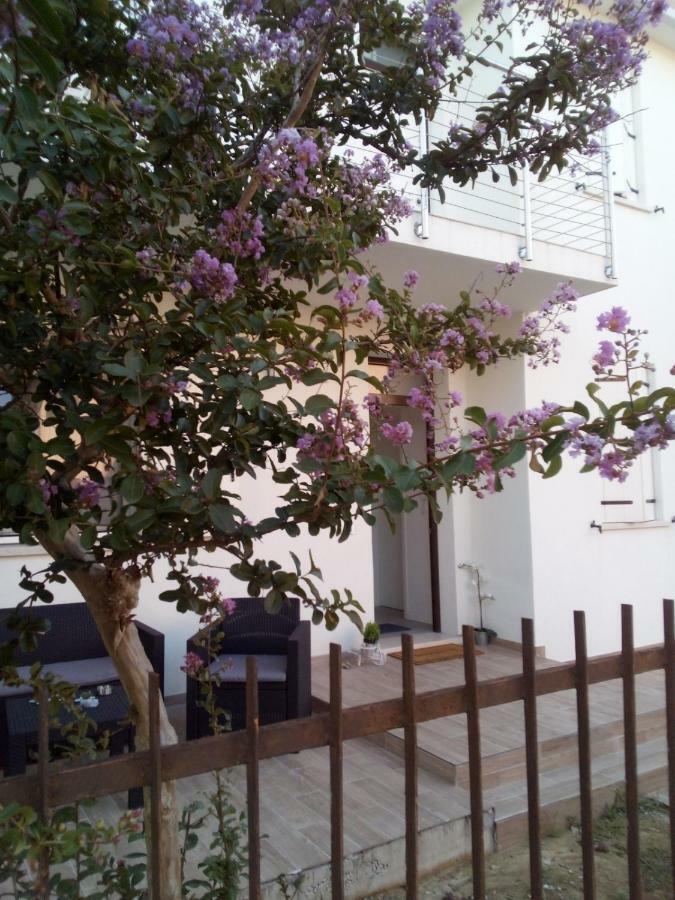 מסטרה The Judas Trees מראה חיצוני תמונה