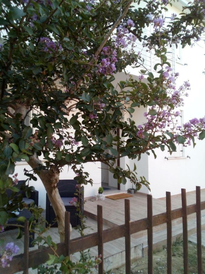 מסטרה The Judas Trees מראה חיצוני תמונה