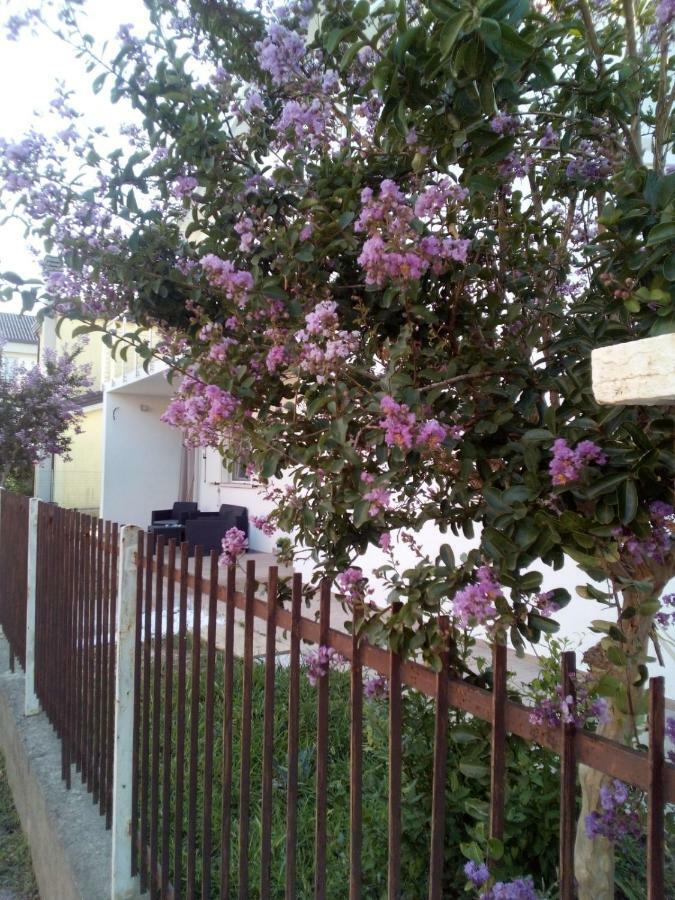 מסטרה The Judas Trees מראה חיצוני תמונה